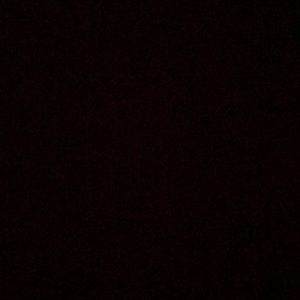 Meet your Posher, Cienna